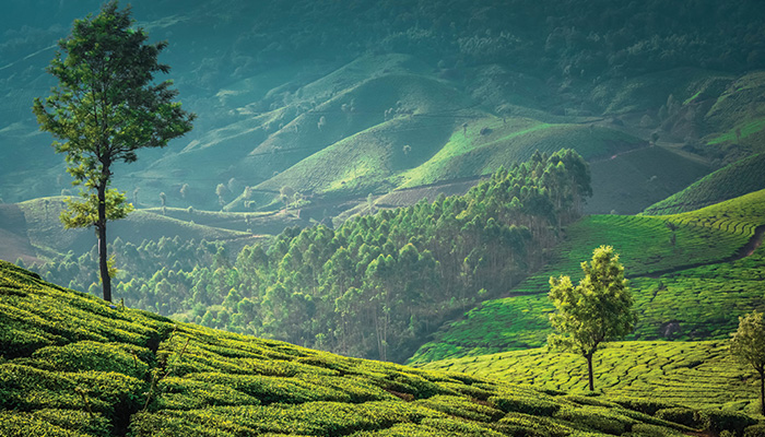 Where to Go in India for the Best Experiences